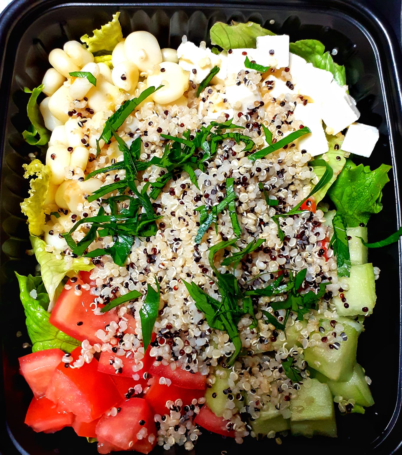 Ensalada con Quinua Tricolor